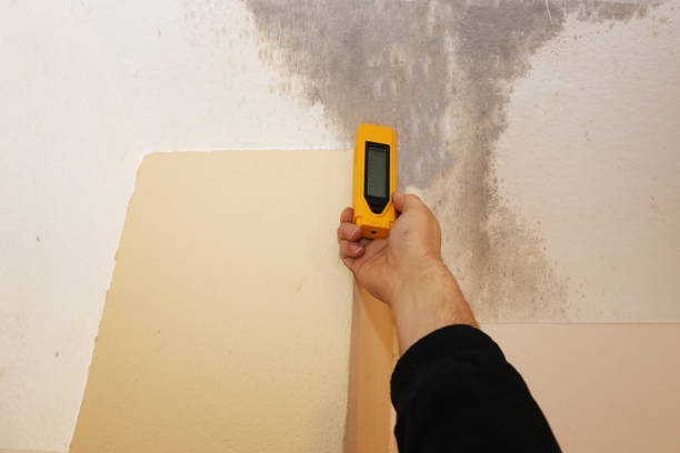 Best HVAC Mold Inspection and Cleaning  in Norfolk, NE