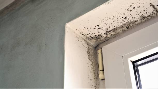 Best Indoor Air Quality Assessment  in Norfolk, NE