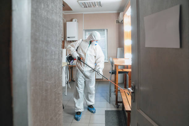 Reliable Norfolk, NE Mold Removal Solutions