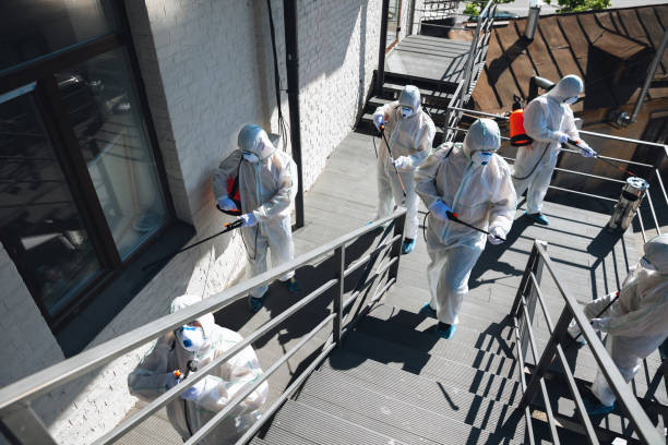 Best Emergency Mold Remediation  in Norfolk, NE