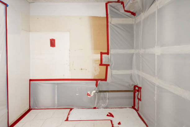 Best Biohazard Mold Removal  in Norfolk, NE