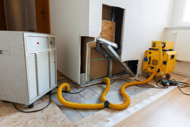 Best Mold Remediation for Healthcare Facilities  in Norfolk, NE