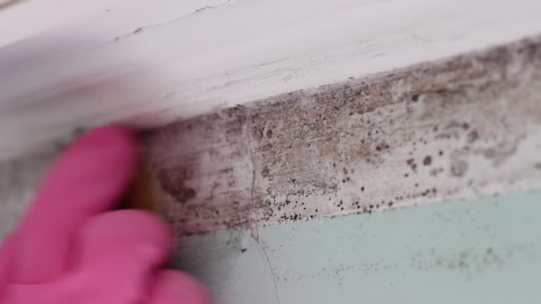 Best Post-Remediation Verification Testing  in Norfolk, NE